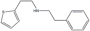(2-phenylethyl)[2-(thiophen-2-yl)ethyl]amine