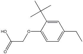 (2-tert-butyl-4-ethylphenoxy)acetic acid