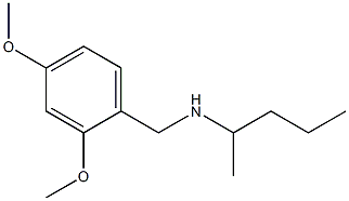  [(2,4-dimethoxyphenyl)methyl](pentan-2-yl)amine