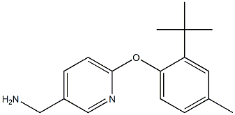 [6-(2-tert-butyl-4-methylphenoxy)pyridin-3-yl]methanamine Struktur