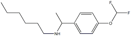  {1-[4-(difluoromethoxy)phenyl]ethyl}(hexyl)amine