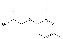 2-(2-tert-butyl-4-methylphenoxy)ethanethioamide 结构式