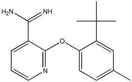 2-(2-tert-butyl-4-methylphenoxy)pyridine-3-carboximidamide Structure