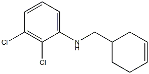  2,3-dichloro-N-(cyclohex-3-en-1-ylmethyl)aniline