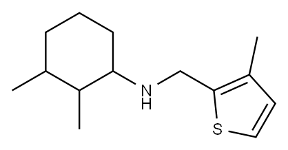 2,3-dimethyl-N-[(3-methylthiophen-2-yl)methyl]cyclohexan-1-amine Structure