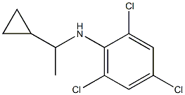  2,4,6-trichloro-N-(1-cyclopropylethyl)aniline
