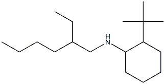 2-tert-butyl-N-(2-ethylhexyl)cyclohexan-1-amine 结构式