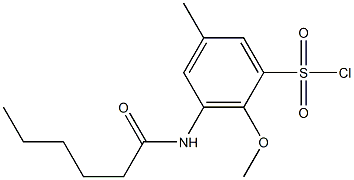 3-hexanamido-2-methoxy-5-methylbenzene-1-sulfonyl chloride Structure