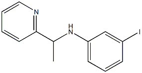 3-iodo-N-[1-(pyridin-2-yl)ethyl]aniline 结构式