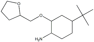 4-tert-butyl-2-(oxolan-2-ylmethoxy)cyclohexan-1-amine