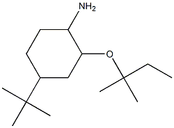 4-tert-butyl-2-[(2-methylbutan-2-yl)oxy]cyclohexan-1-amine