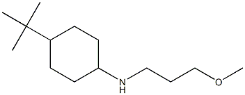 4-tert-butyl-N-(3-methoxypropyl)cyclohexan-1-amine Struktur