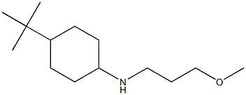 4-tert-butyl-N-(3-methoxypropyl)cyclohexan-1-amine Structure