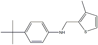 4-tert-butyl-N-[(3-methylthiophen-2-yl)methyl]aniline Struktur