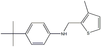 4-tert-butyl-N-[(3-methylthiophen-2-yl)methyl]aniline Structure