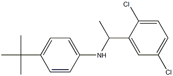 4-tert-butyl-N-[1-(2,5-dichlorophenyl)ethyl]aniline