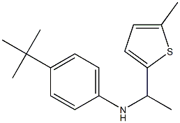 4-tert-butyl-N-[1-(5-methylthiophen-2-yl)ethyl]aniline
