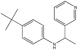 4-tert-butyl-N-[1-(pyridin-3-yl)ethyl]aniline Structure