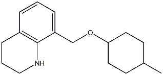8-{[(4-methylcyclohexyl)oxy]methyl}-1,2,3,4-tetrahydroquinoline