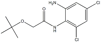 N-(2-amino-4,6-dichlorophenyl)-2-(tert-butoxy)acetamide Structure
