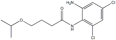 N-(2-amino-4,6-dichlorophenyl)-4-(propan-2-yloxy)butanamide