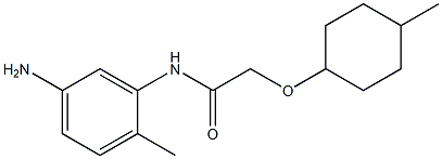 N-(5-amino-2-methylphenyl)-2-[(4-methylcyclohexyl)oxy]acetamide