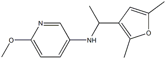  N-[1-(2,5-dimethylfuran-3-yl)ethyl]-6-methoxypyridin-3-amine