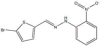 5-bromo-2-thiophenecarbaldehyde N-(2-nitrophenyl)hydrazone|