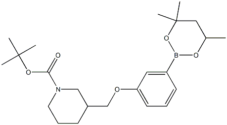 tert-Butyl 3{[3-(4,4,6-trimethyl-1,3,2-dioxaborinan-2-yl)phenoxy]methyl}piperidine-1-carboxylate