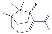 (1R,6R)-2-Acetyl-9,9-dimethyl-9-azoniabicyclo[4.2.1]non-2-ene Structure