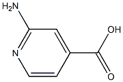  2-氨基吡啶-4-甲酸