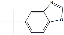 5-TERT-BUTYL-BENZOXAZOLE Struktur