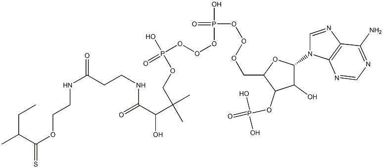 S-[2-[3-[[4-[[[5-(6-aminopurin-9-yl)-4-hydroxy-3-phosphonooxyoxolan-2-yl]methoxy-hydroxyphosphoryl]oxy-hydroxyphosphoryl]oxy-2-hydroxy-3,3-dimethylbutanoyl]amino]propanoylamino]ethyl] 2-methylbutanethioate Structure