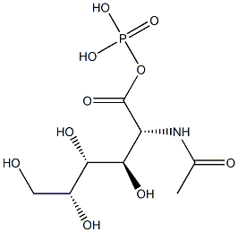 N-Acetyl-D-galactosamine 1-phosphate Structure