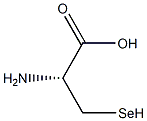 L-Selenocysteine. Structure