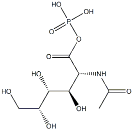 N-acetylgalactosamine-1-phosphate Structure