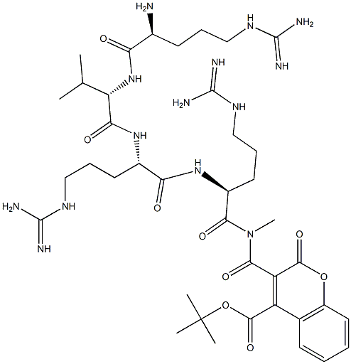 tert-butoxycarbonyl-arginyl-valyl-arginyl-arginyl-methylcoumarin amide
