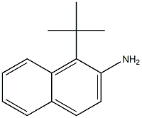 1-TERT-BUTYL-2-AMINONAPHTHALENE 化学構造式