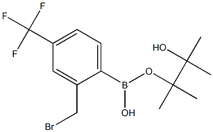 2-(BROMOMETHYL)-4-(TRIFLUOROMETHYL)PHENYL BORONIC ACID PINACOL ESTER Struktur