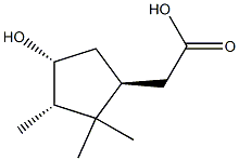  2-[(1S,3S,4R)-4-hydroxy-2,2,3-trimethyl-cyclopentyl]acetic acid