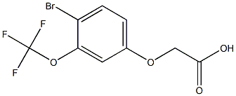 (4-BROMO-3-TRIFLUOROMETHOXY-PHENOXY)-ACETIC ACID