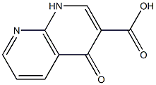  4-Oxo-1,8-Nephthyridine-3-Carboxylic Acid