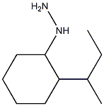 1-(2-sec-butylcyclohexyl)hydrazine Structure
