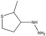 1-(tetrahydro-2-methylthiophen-3-yl)hydrazine 结构式