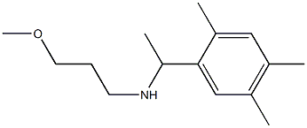 (3-methoxypropyl)[1-(2,4,5-trimethylphenyl)ethyl]amine|