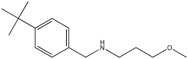 [(4-tert-butylphenyl)methyl](3-methoxypropyl)amine Struktur