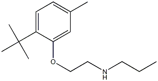[2-(2-tert-butyl-5-methylphenoxy)ethyl](propyl)amine Structure