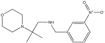  [2-methyl-2-(morpholin-4-yl)propyl][(3-nitrophenyl)methyl]amine