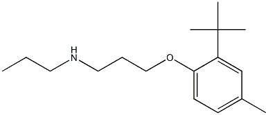 [3-(2-tert-butyl-4-methylphenoxy)propyl](propyl)amine Struktur