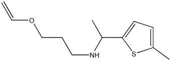 [3-(ethenyloxy)propyl][1-(5-methylthiophen-2-yl)ethyl]amine